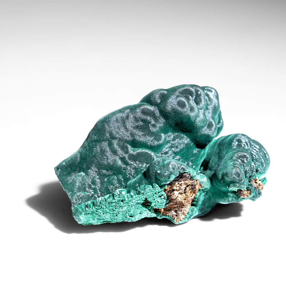 Malachite from Shaba Copper Belt, Katanga (Shaba) Province, Democratic Republic of the Congo (Zaire)