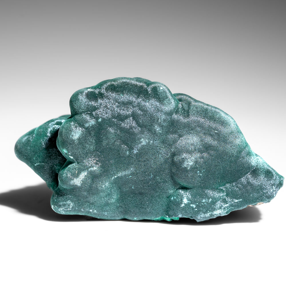 Malachite from Shaba Copper Belt, Katanga (Shaba) Province, Democratic Republic of the Congo (Zaire)