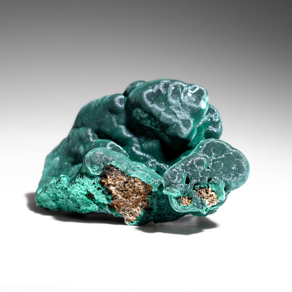 Malachite from Shaba Copper Belt, Katanga (Shaba) Province, Democratic Republic of the Congo (Zaire)