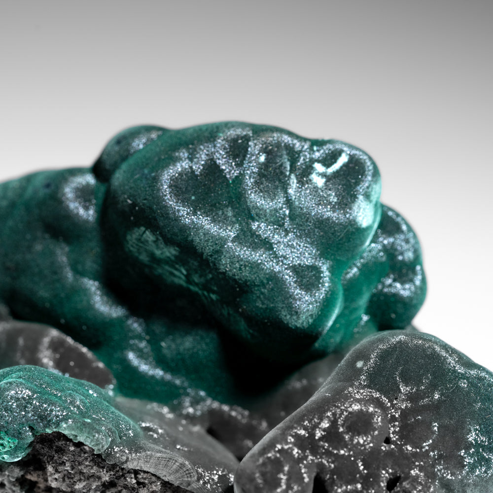 Malachite from Shaba Copper Belt, Katanga (Shaba) Province, Democratic Republic of the Congo (Zaire)