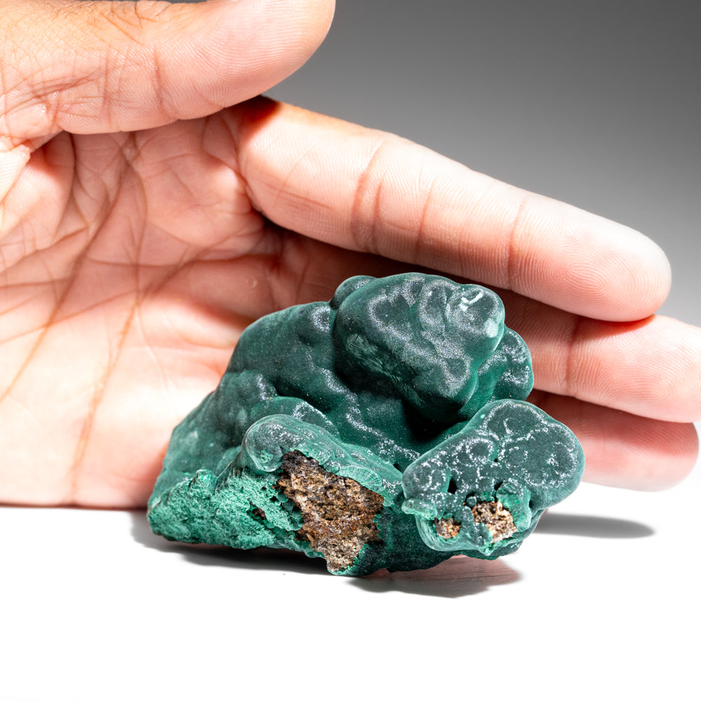 Malachite from Shaba Copper Belt, Katanga (Shaba) Province, Democratic Republic of the Congo (Zaire)