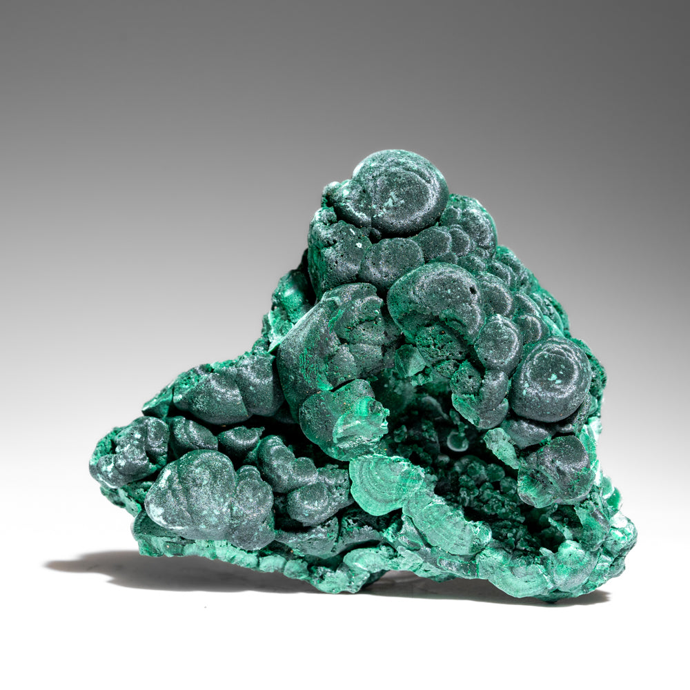 Malachite from Shaba Copper Belt, Katanga Province, Democratic Republic of the Congo (Zaire)