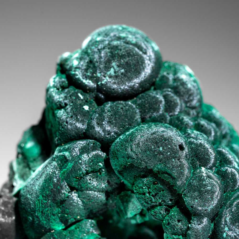 Malachite from Shaba Copper Belt, Katanga Province, Democratic Republic of the Congo (Zaire)