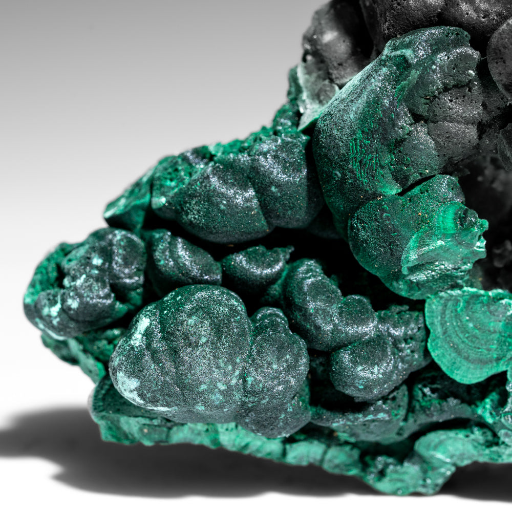 Malachite from Shaba Copper Belt, Katanga Province, Democratic Republic of the Congo (Zaire)