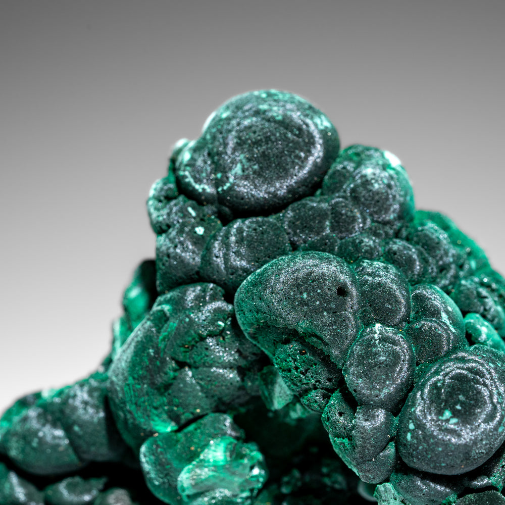 Malachite from Shaba Copper Belt, Katanga Province, Democratic Republic of the Congo (Zaire)