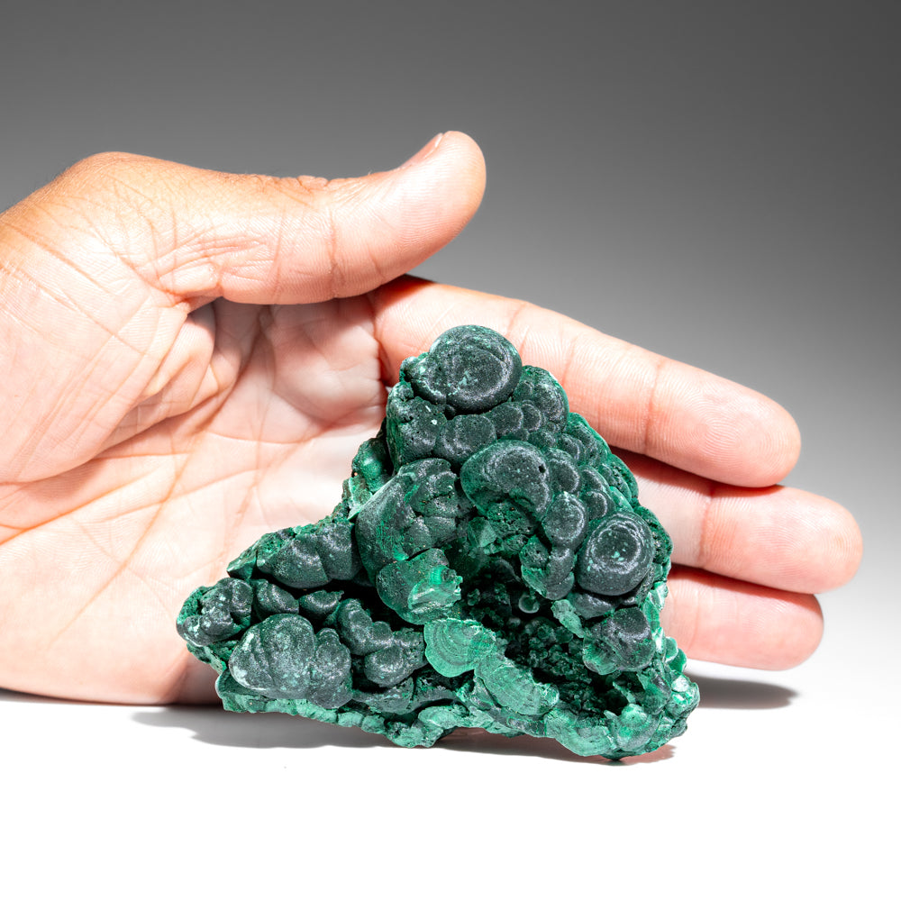 Malachite from Shaba Copper Belt, Katanga Province, Democratic Republic of the Congo (Zaire)