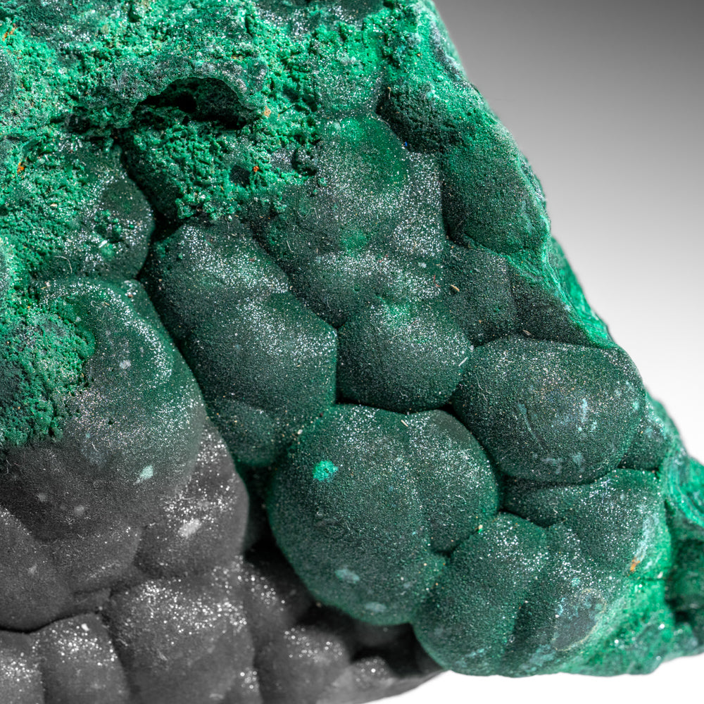 Malachite from Shaba Copper Belt, Katanga Province, Democratic Republic of the Congo (Zaire)