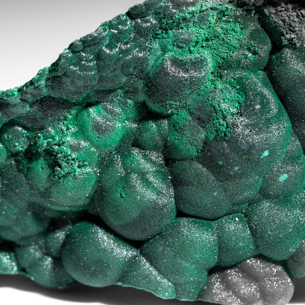 Malachite from Shaba Copper Belt, Katanga Province, Democratic Republic of the Congo (Zaire)