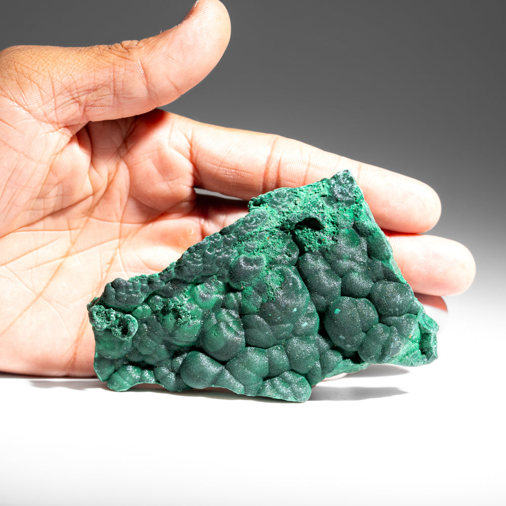 Malachite from Shaba Copper Belt, Katanga Province, Democratic Republic of the Congo (Zaire)