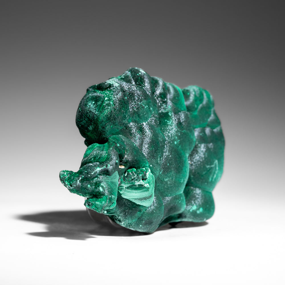 Malachite from Shaba Copper Belt, Katanga Province, Democratic Republic of the Congo (Zaire)