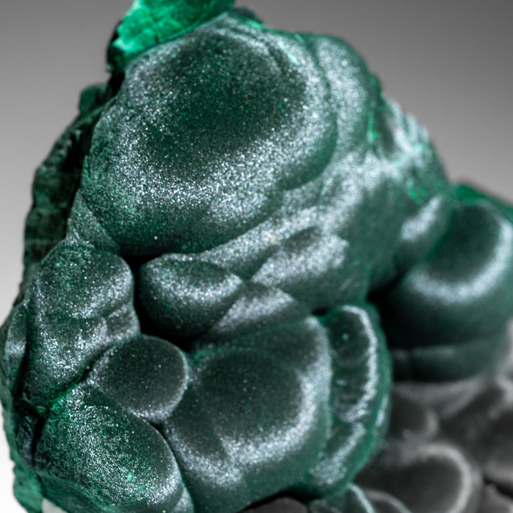 Malachite from Shaba Copper Belt, Katanga Province, Democratic Republic of the Congo (Zaire) (Copy)