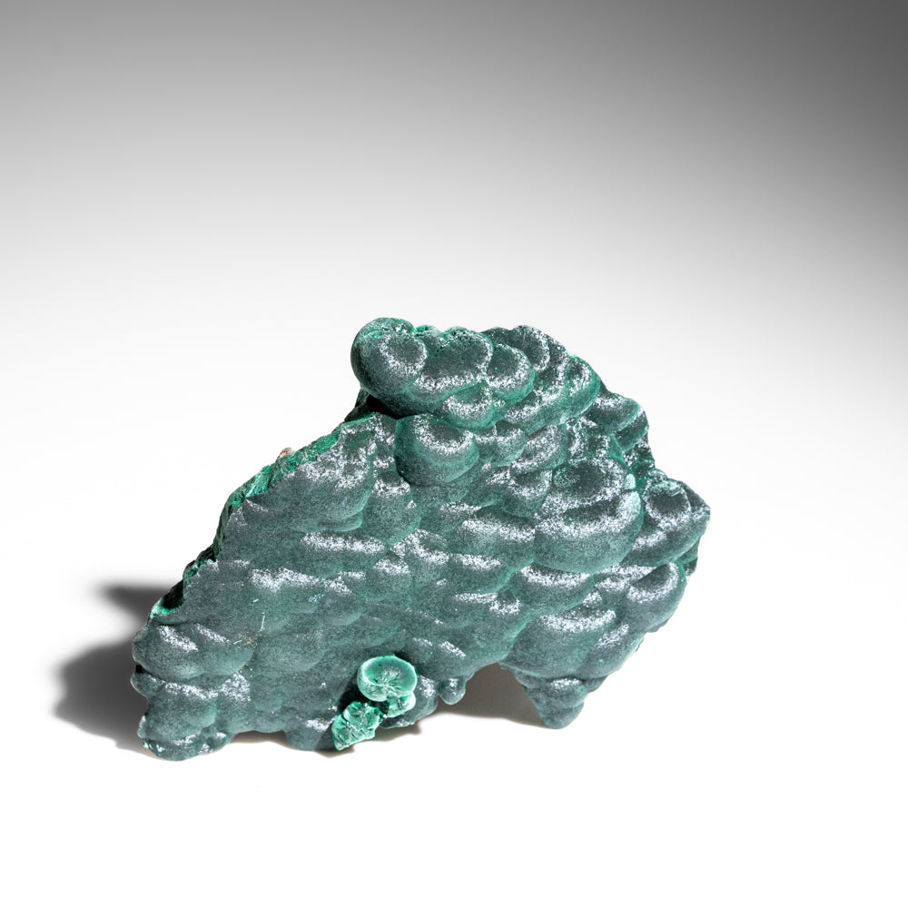 Malachite from Shaba Copper Belt, Katanga (Shaba) Province, Democratic Republic of the Congo (Zaire) (Copy)