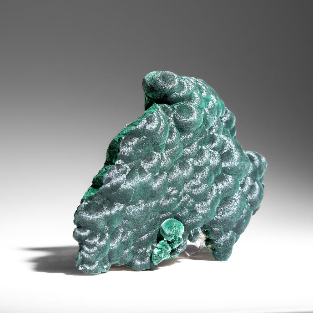 Malachite from Shaba Copper Belt, Katanga (Shaba) Province, Democratic Republic of the Congo (Zaire) (Copy)