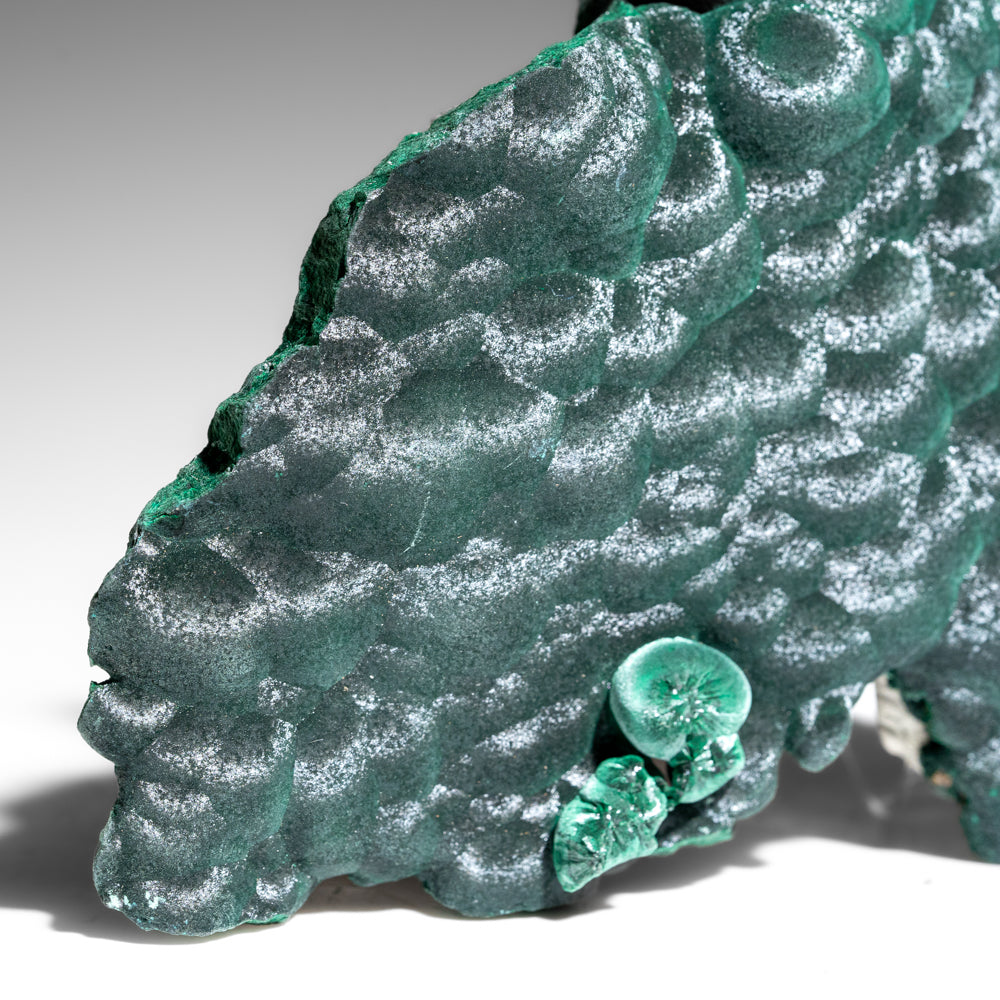 Malachite from Shaba Copper Belt, Katanga (Shaba) Province, Democratic Republic of the Congo (Zaire) (Copy)