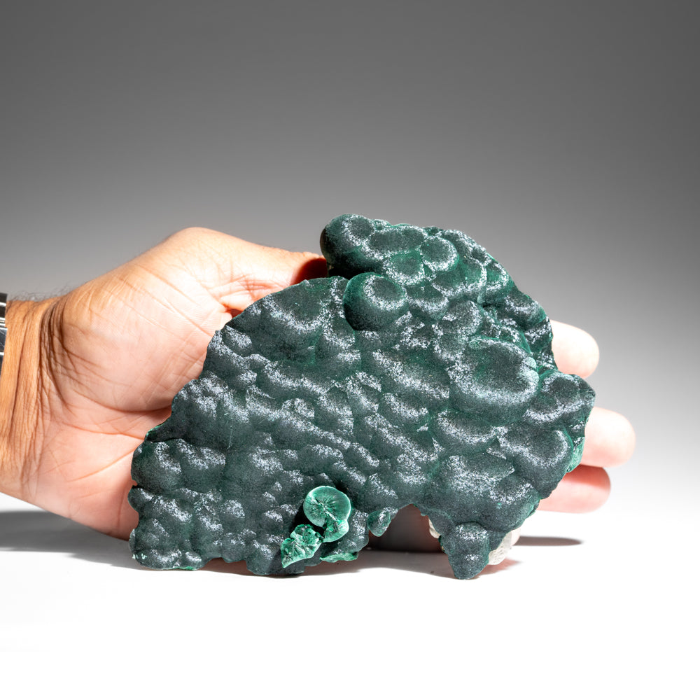 Malachite from Shaba Copper Belt, Katanga (Shaba) Province, Democratic Republic of the Congo (Zaire) (Copy)