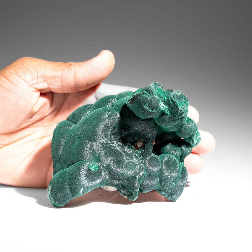 Malachite from Shaba Copper Belt, Katanga Province, Democratic Republic of the Congo (Zaire)