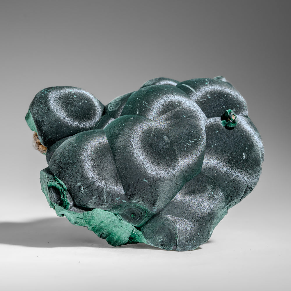 Malachite from Shaba Copper Belt, Katanga Province, Democratic Republic of the Congo (Zaire) (Copy)