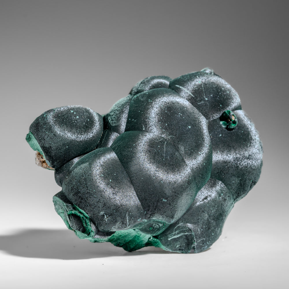 Malachite from Shaba Copper Belt, Katanga Province, Democratic Republic of the Congo (Zaire) (Copy)