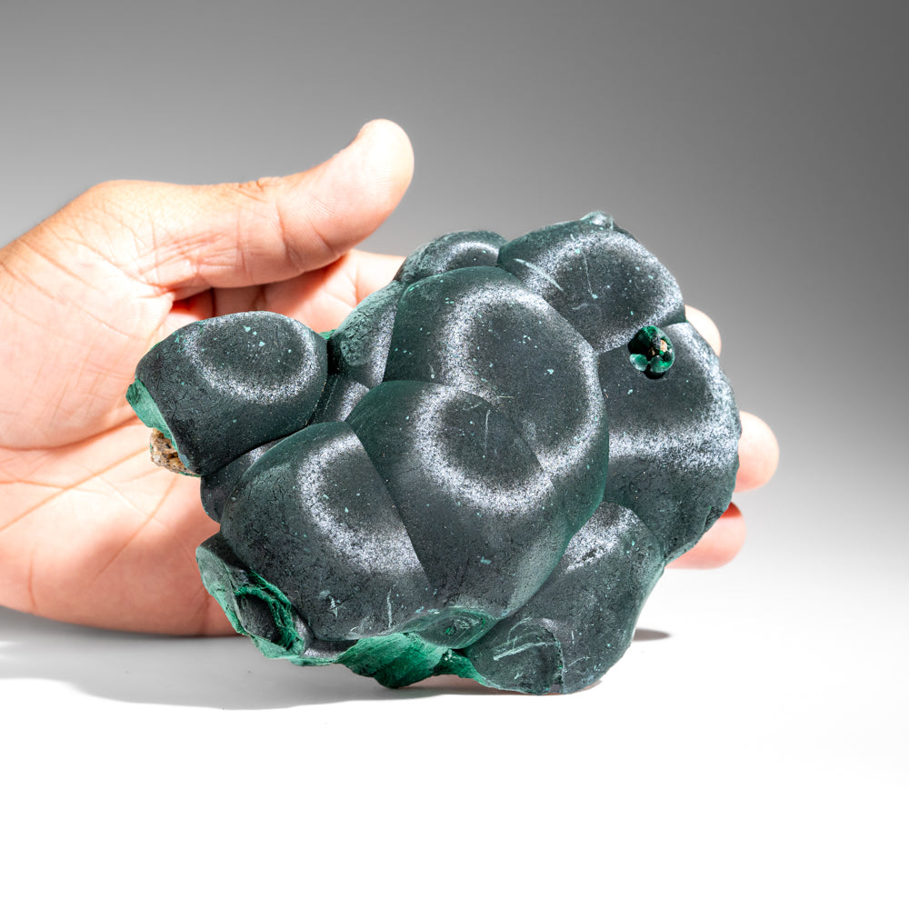 Malachite from Shaba Copper Belt, Katanga Province, Democratic Republic of the Congo (Zaire) (Copy)