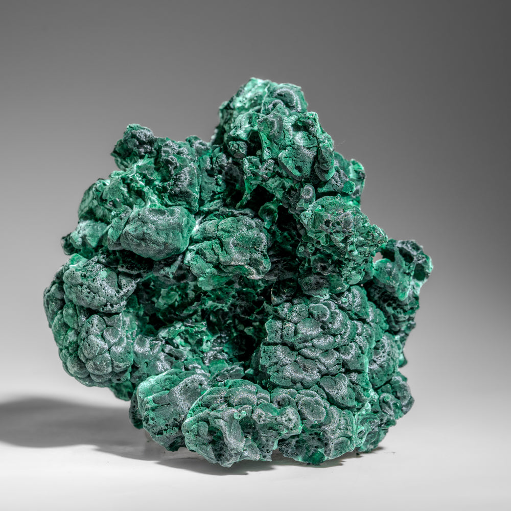 Malachite from Shaba Copper Belt, Katanga Province, Democratic Republic of the Congo (Zaire)