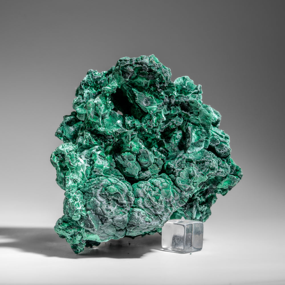 Malachite from Shaba Copper Belt, Katanga Province, Democratic Republic of the Congo (Zaire)