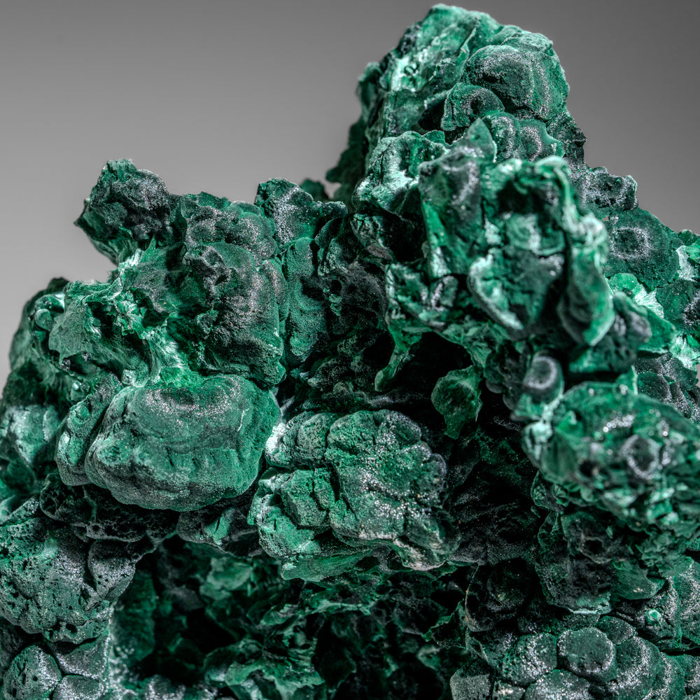 Malachite from Shaba Copper Belt, Katanga Province, Democratic Republic of the Congo (Zaire)