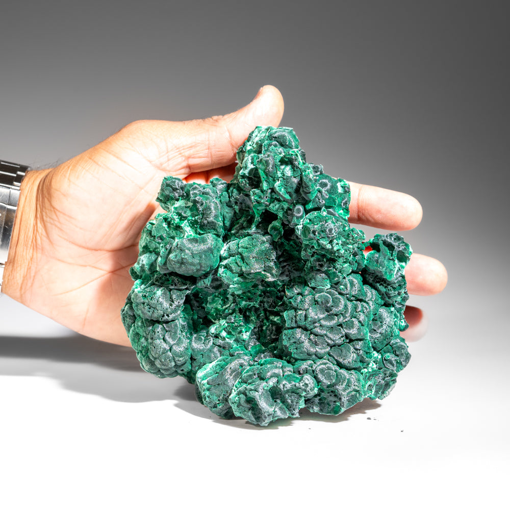 Malachite from Shaba Copper Belt, Katanga Province, Democratic Republic of the Congo (Zaire)