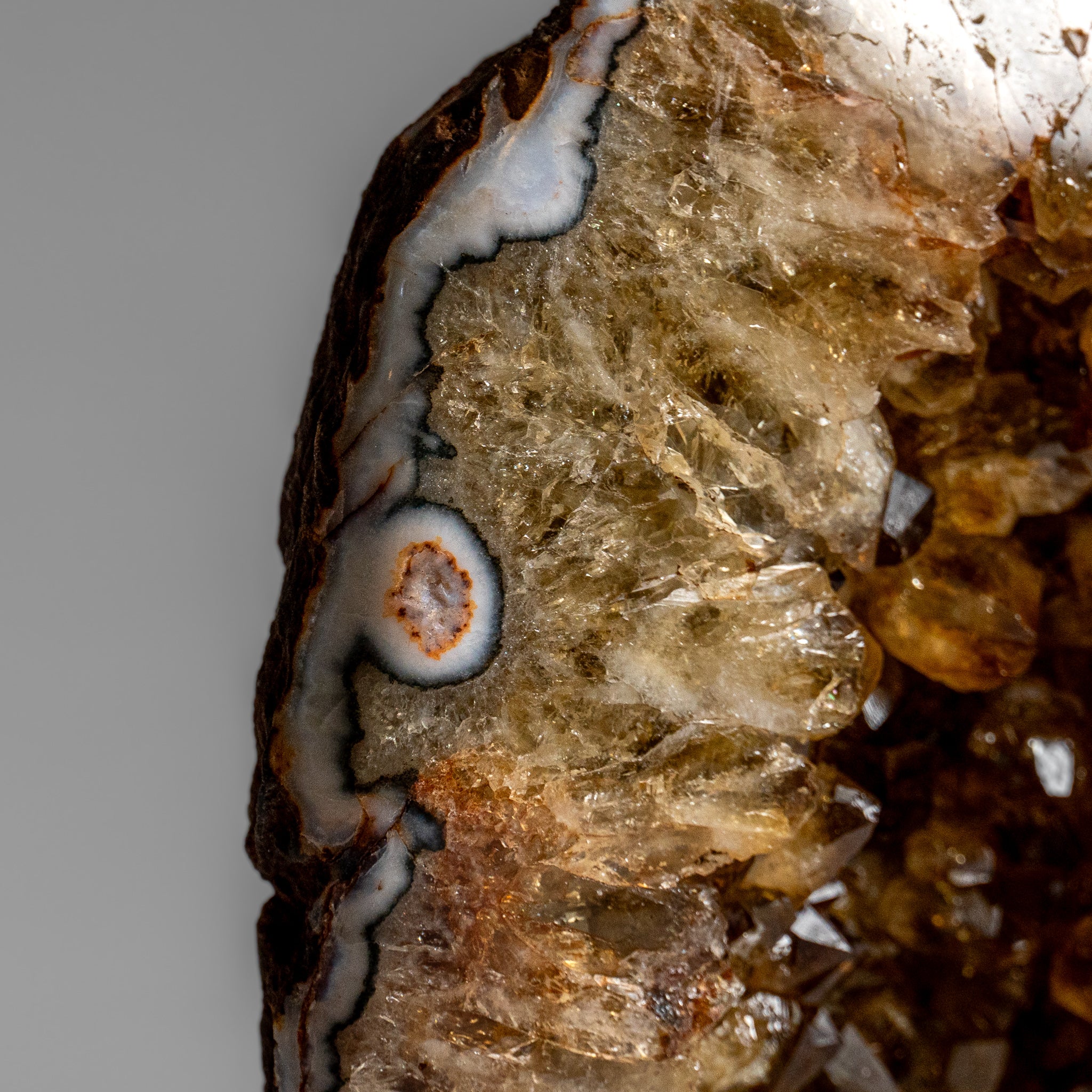 Genuine Citrine Quartz Crystal Cluster From Brazil (2 lbs)