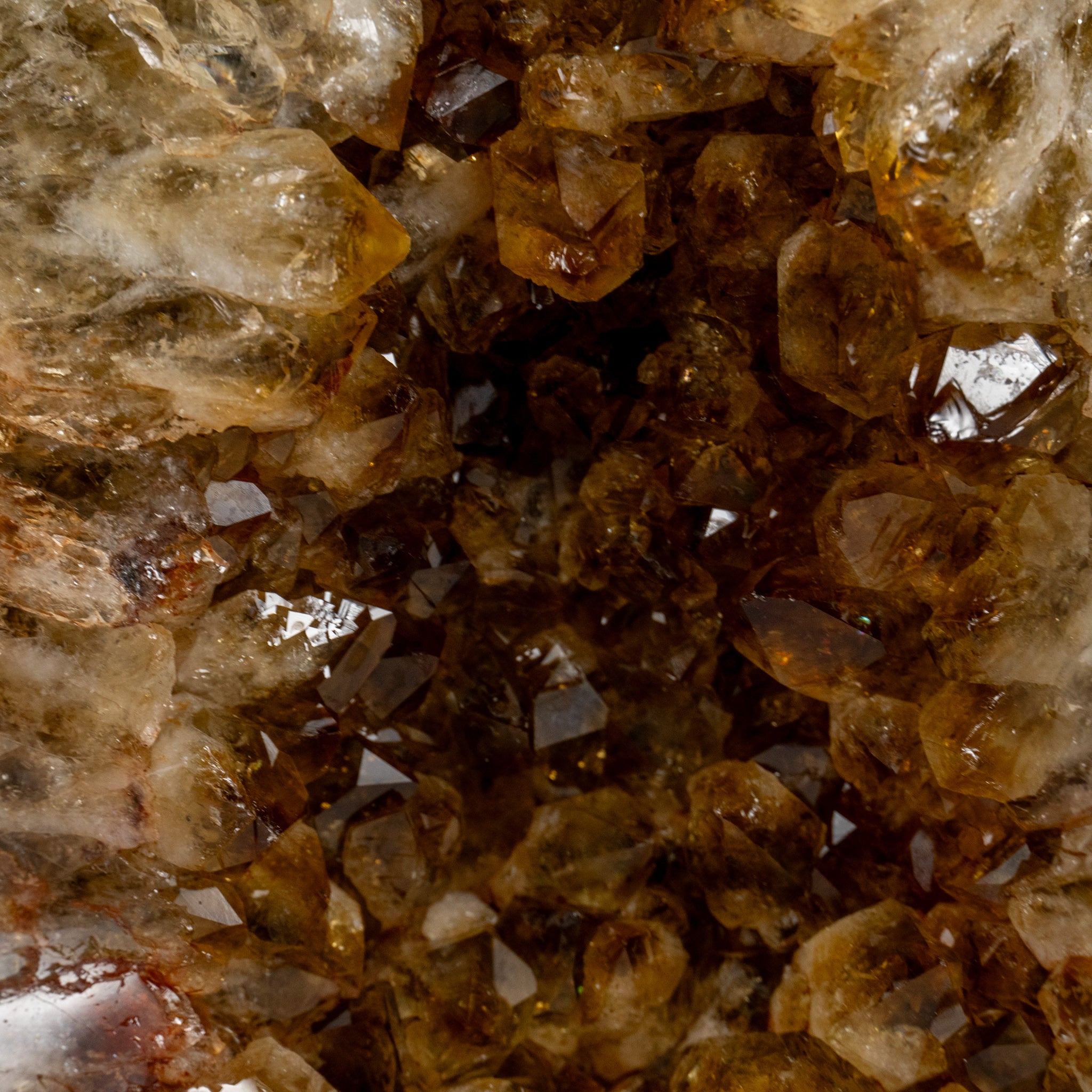 Genuine Citrine Quartz Crystal Cluster From Brazil (2 lbs)