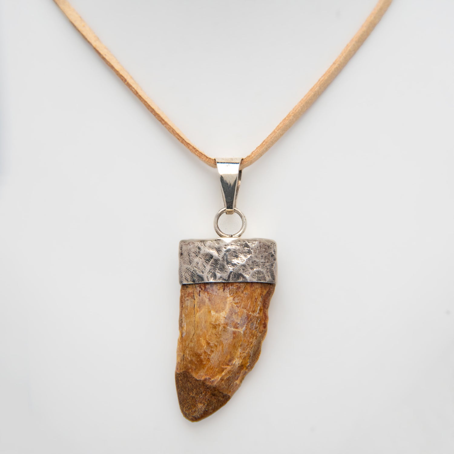 Genuine African Tyrannosaurus Rex Tooth Pendant on Leather Cord