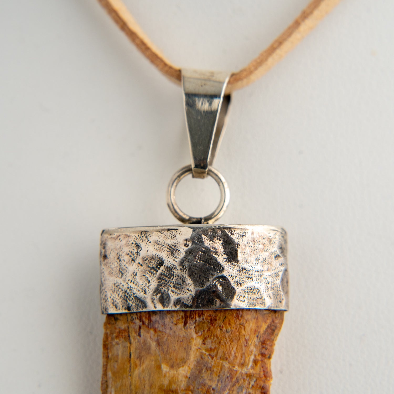 Genuine African Tyrannosaurus Rex Tooth Pendant on Leather Cord