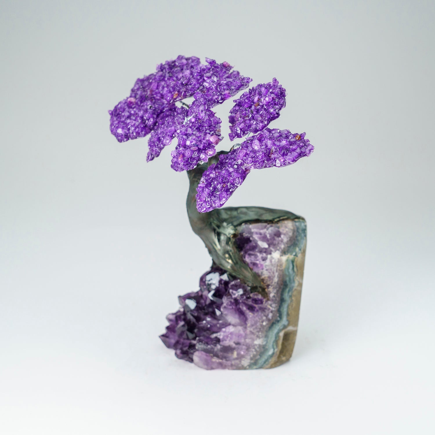 Custom - Genuine Amethyst Clustered Gemstone Tree on Amethyst Matrix (The Protection Tree)