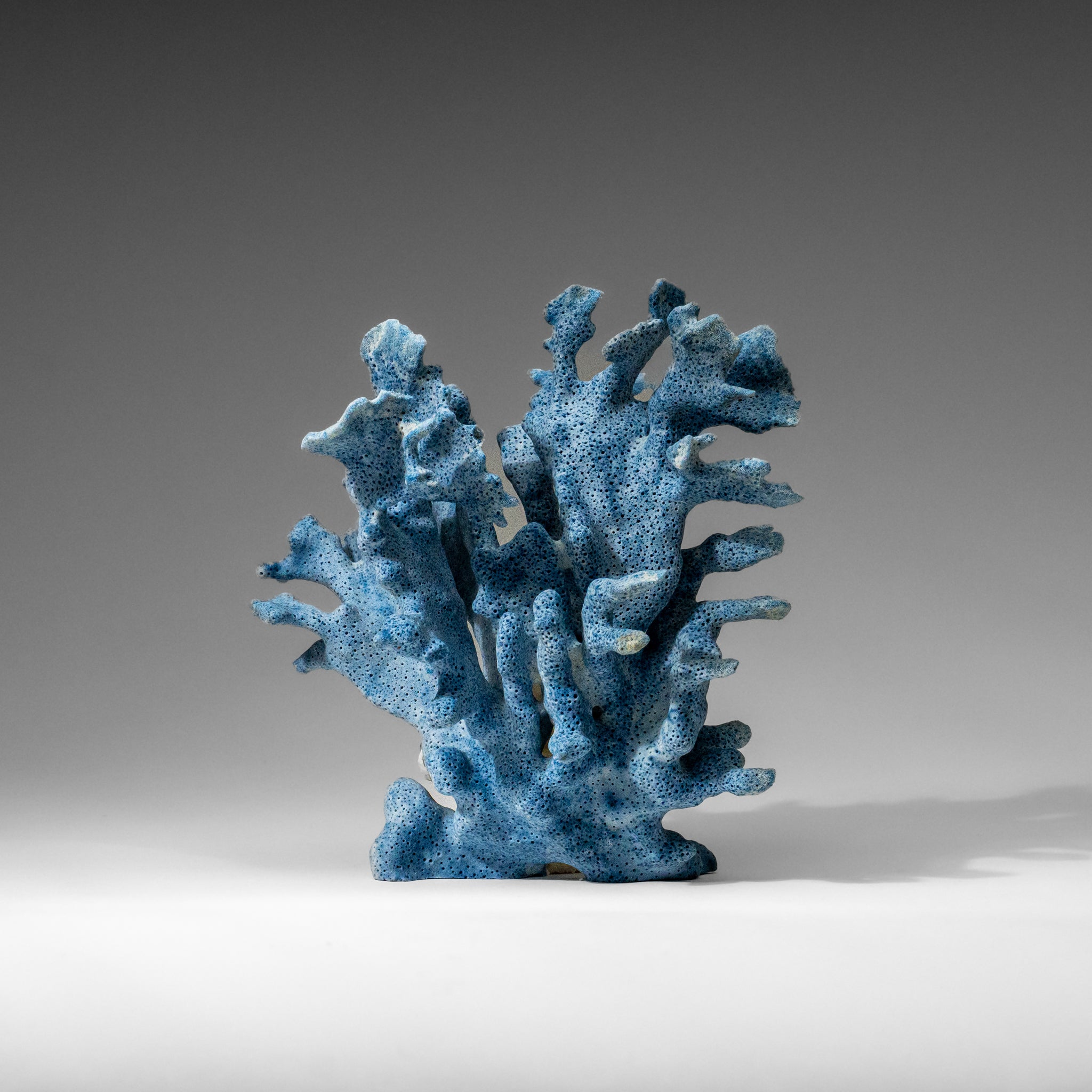 Genuine Blue Ridge Coral (7", .8 lbs)