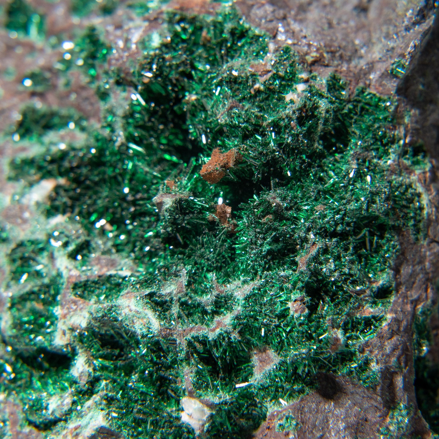 Malachite Crystals on Cuprite Matrix from Shaba Copper Belt, Katanga (Shaba) Province, Democratic Republic of the Congo (Zaire)