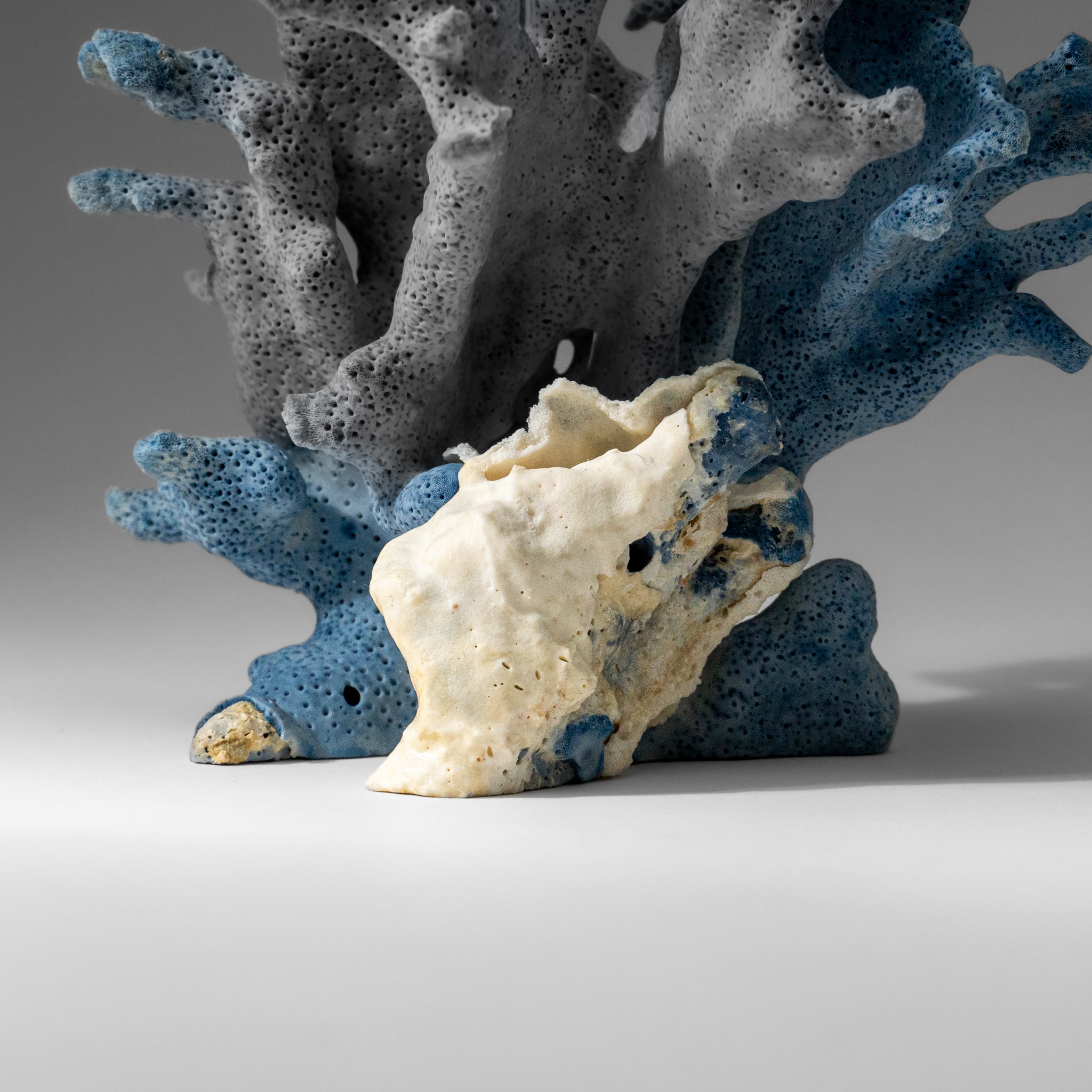 Genuine Blue Ridge Coral (7", .8 lbs)