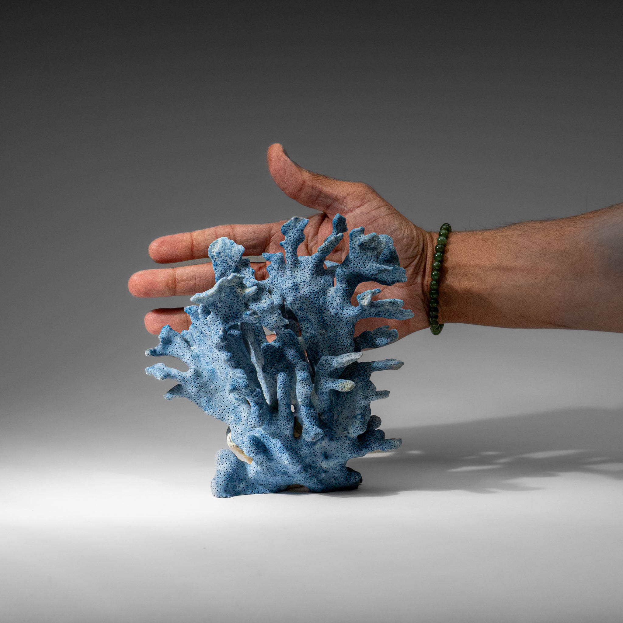 Genuine Blue Ridge Coral (7", .8 lbs)