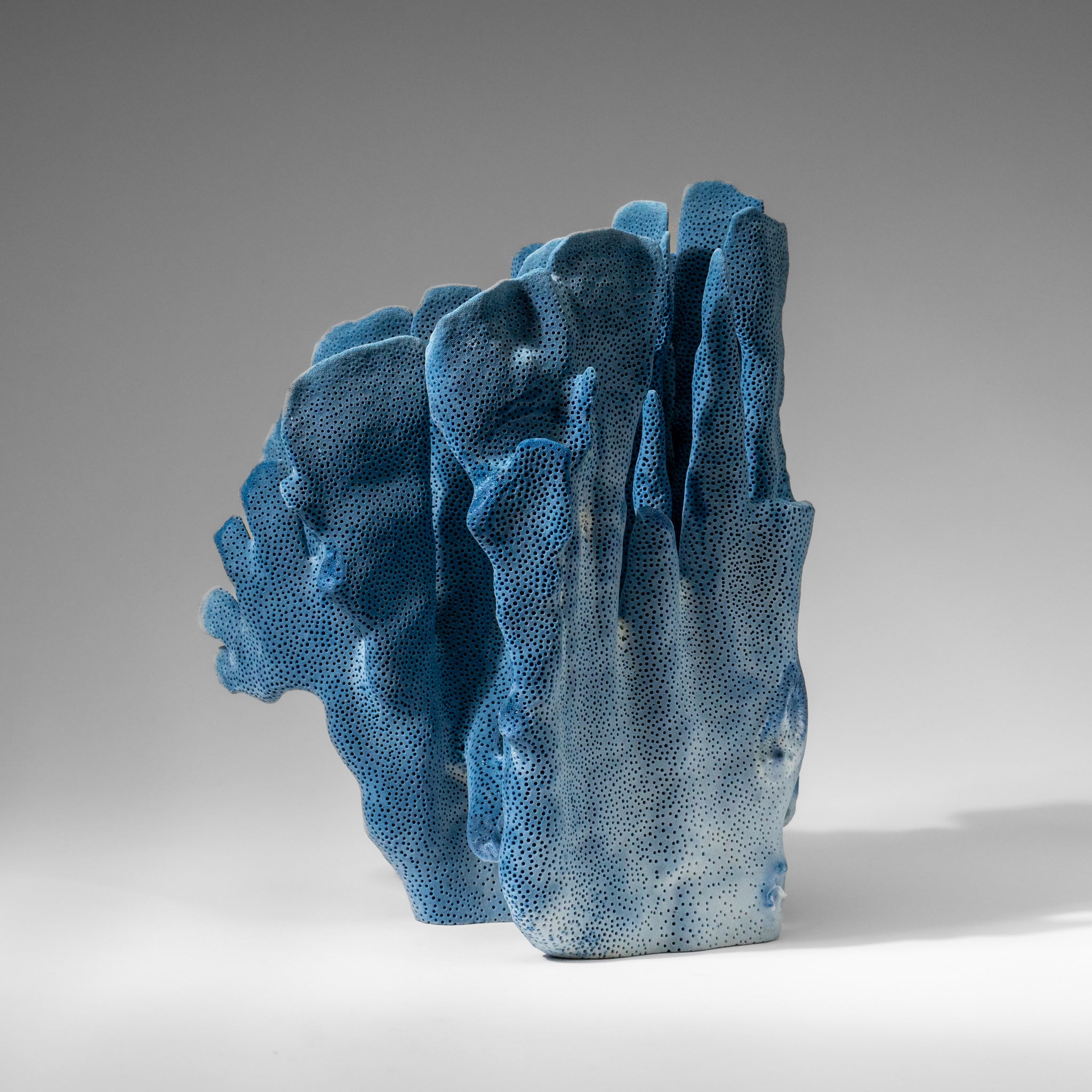 Genuine Blue Ridge Coral (9", 2.9 lbs)