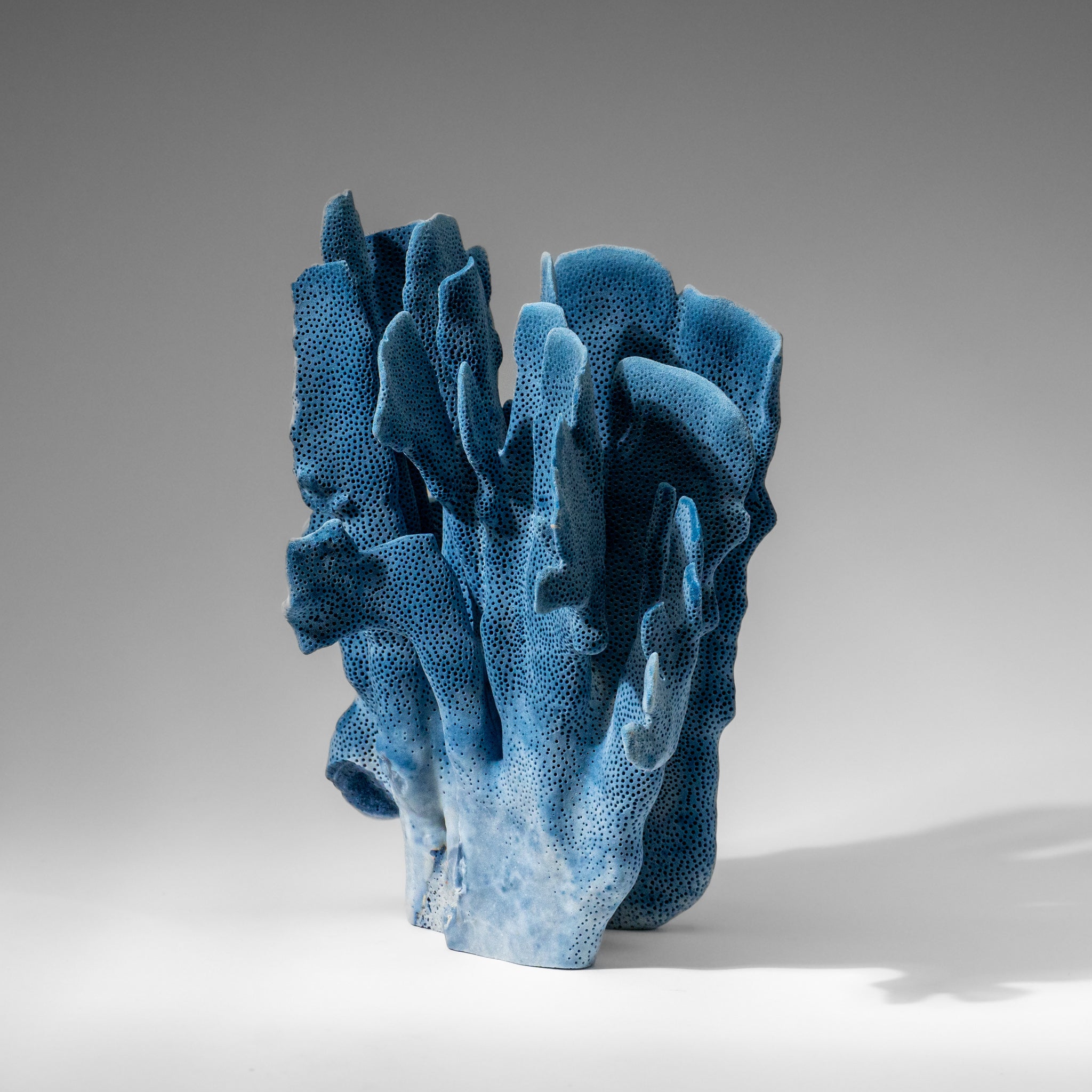 Genuine Blue Ridge Coral (9", 2.9 lbs)