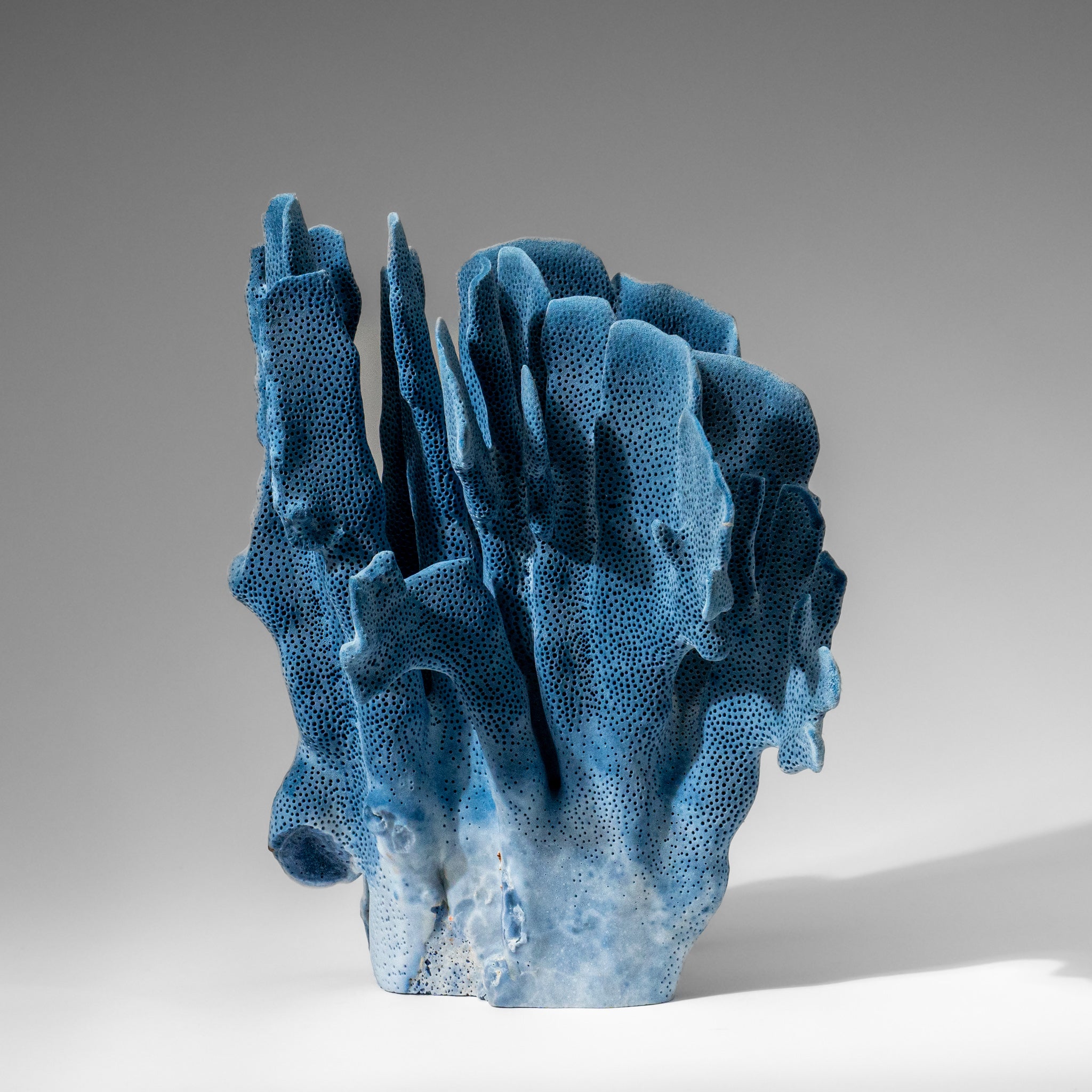 Genuine Blue Ridge Coral (9", 2.9 lbs)