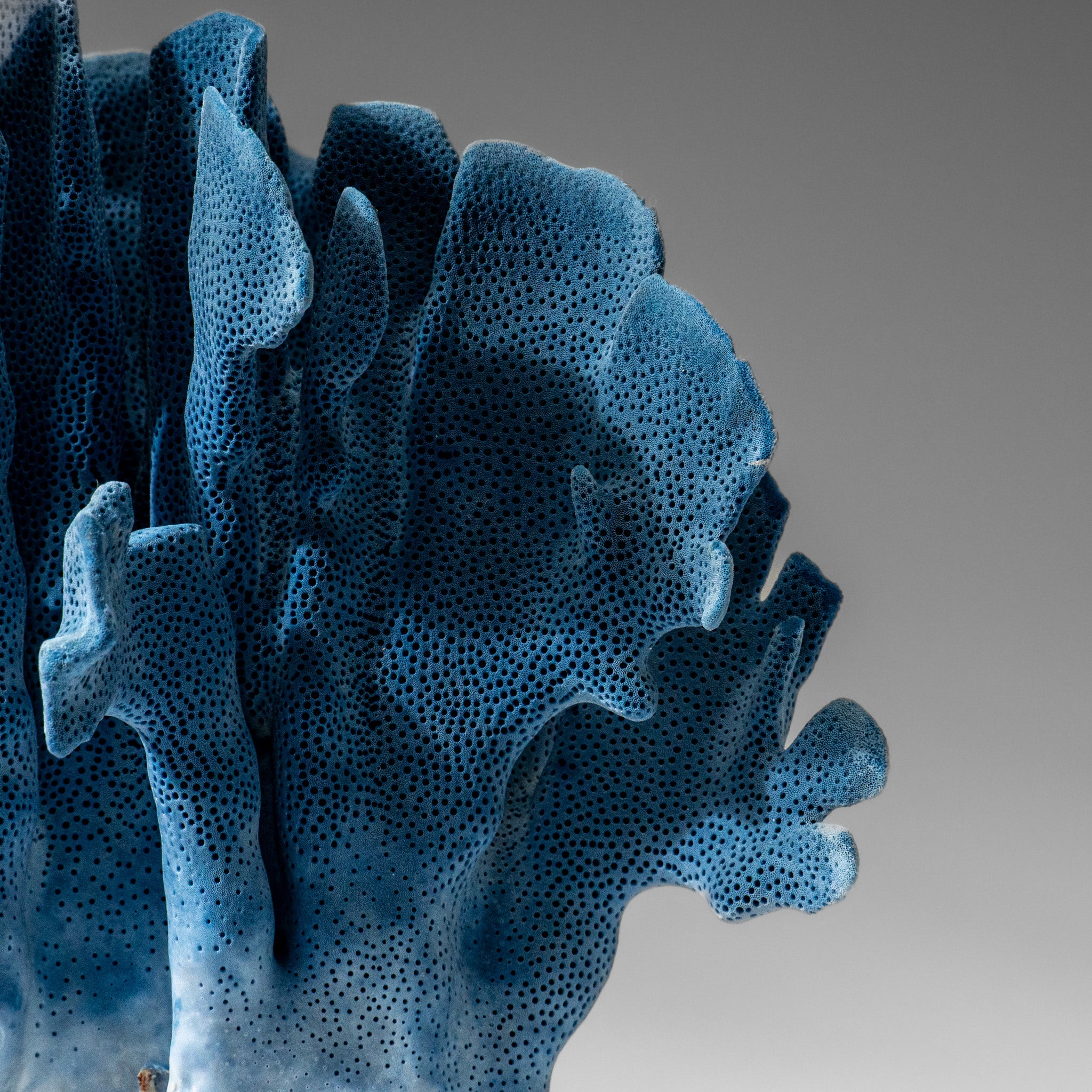 Genuine Blue Ridge Coral (9", 2.9 lbs)