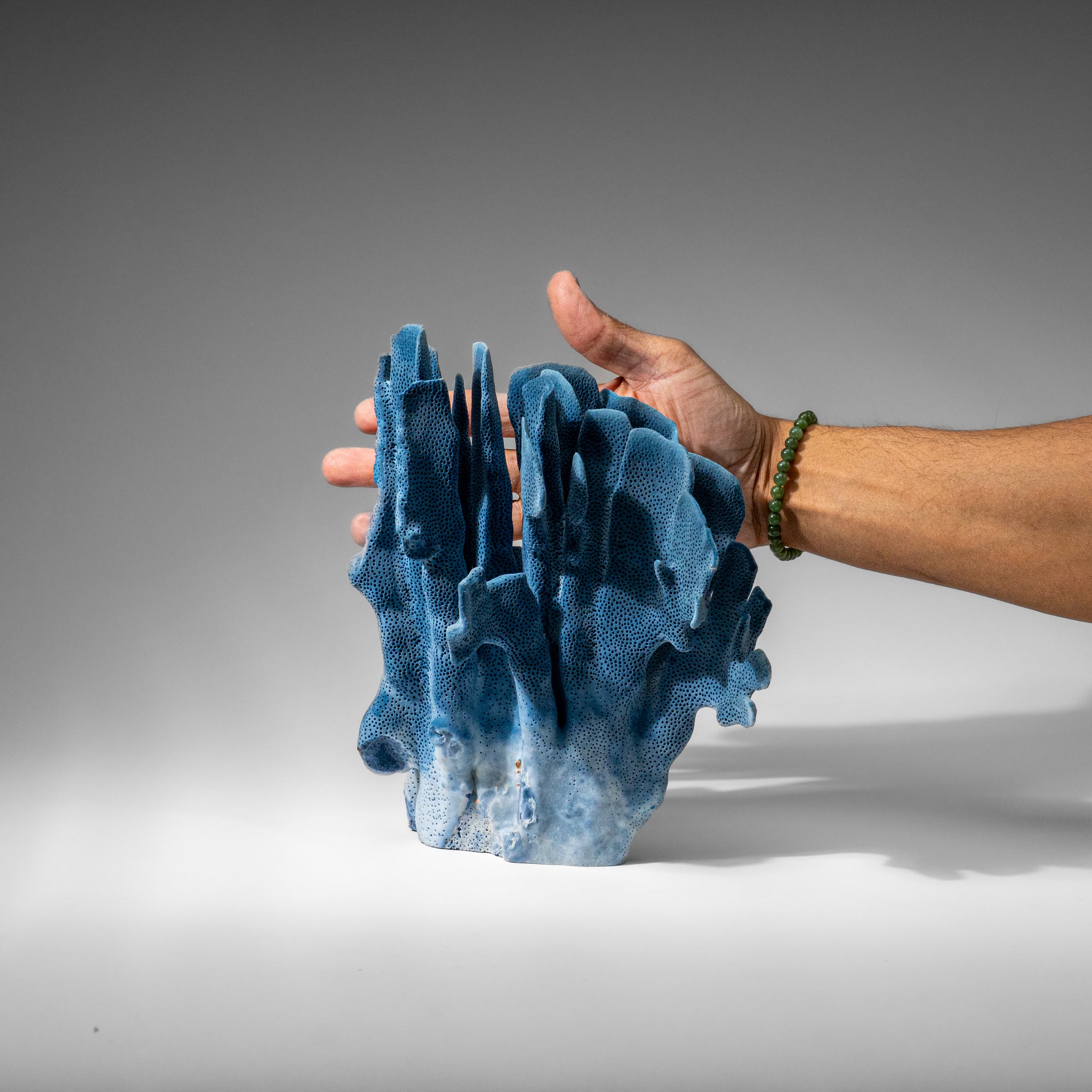 Genuine Blue Ridge Coral (9", 2.9 lbs)