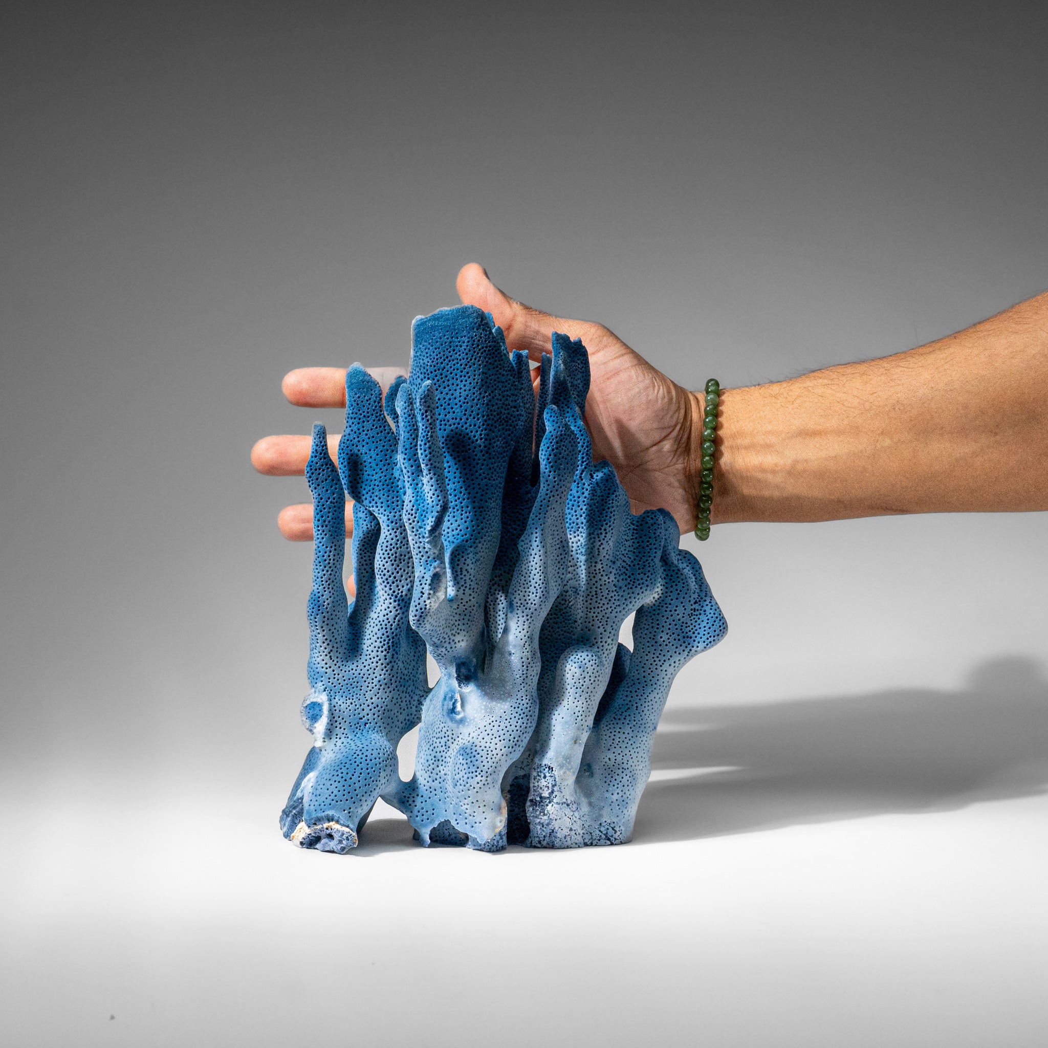 Genuine Blue Ridge Coral (9", 2 lbs)