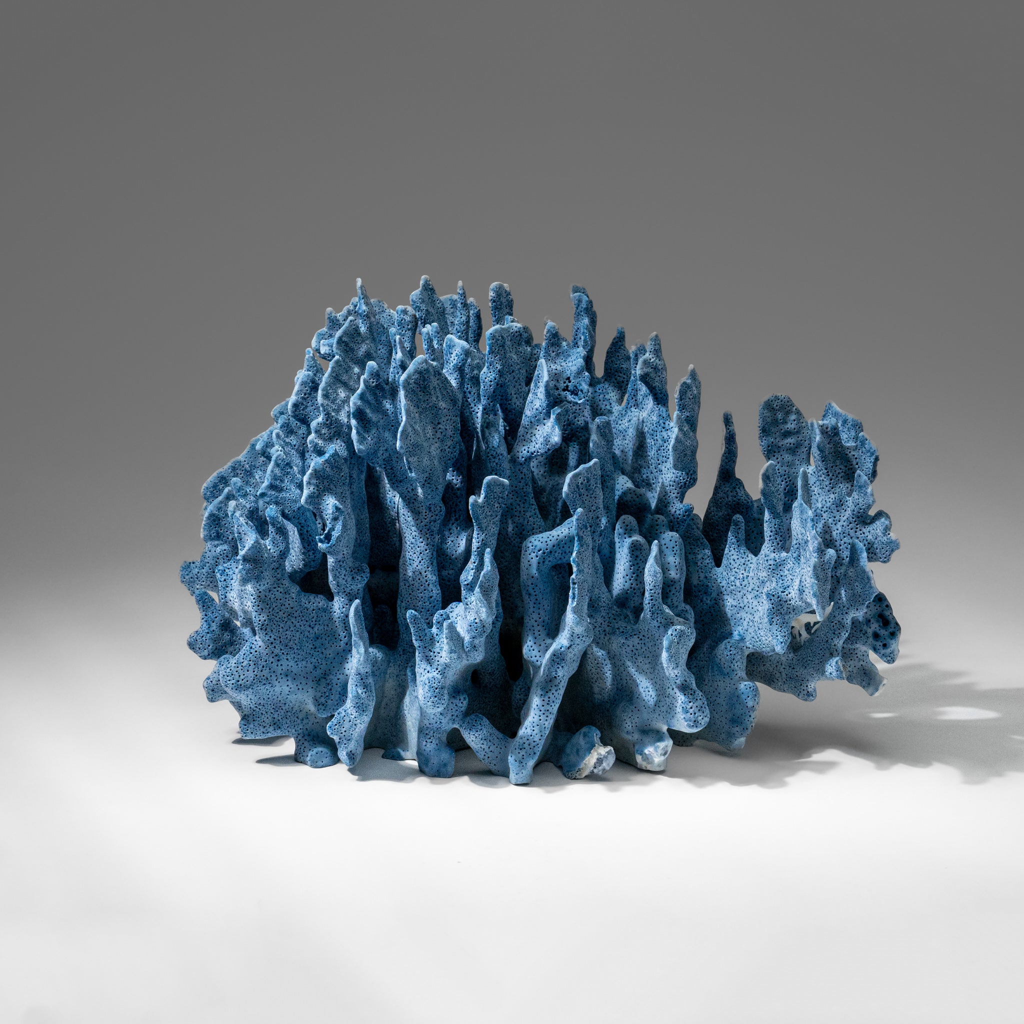 Genuine Blue Ridge Coral (8", 6 lbs)