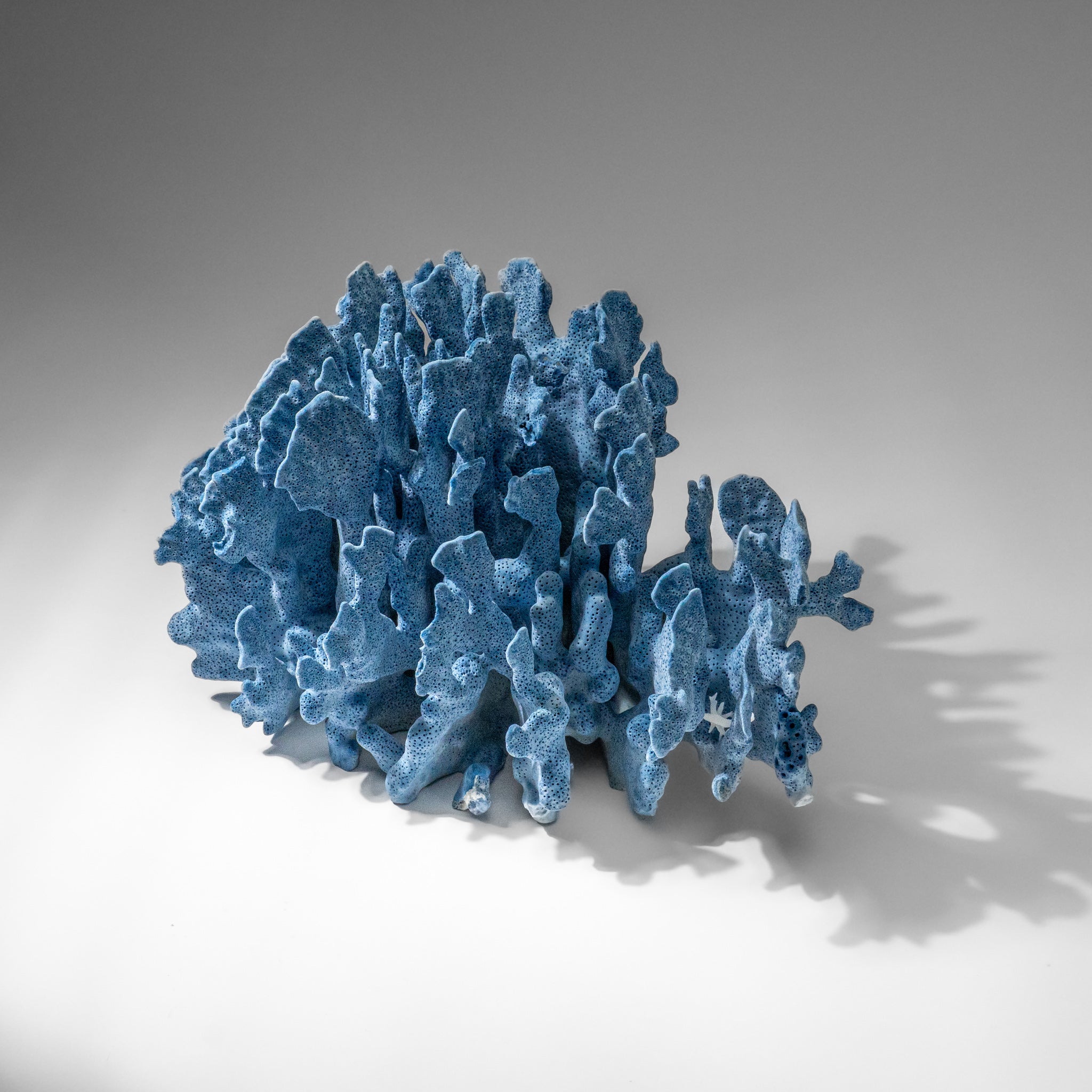 Genuine Blue Ridge Coral (8", 6 lbs)