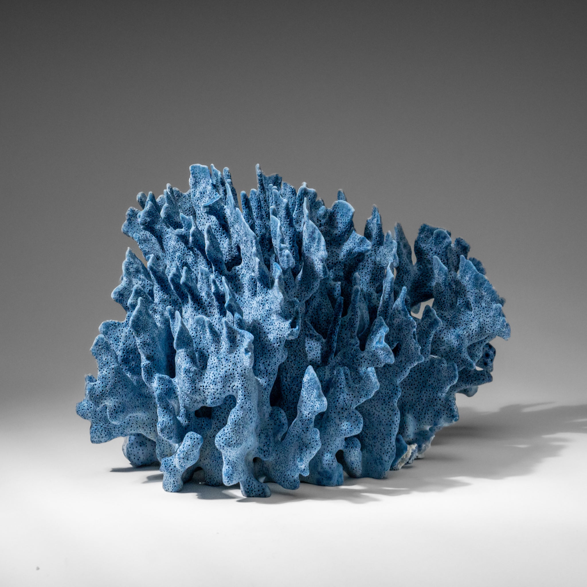 Genuine Blue Ridge Coral (8", 6 lbs)