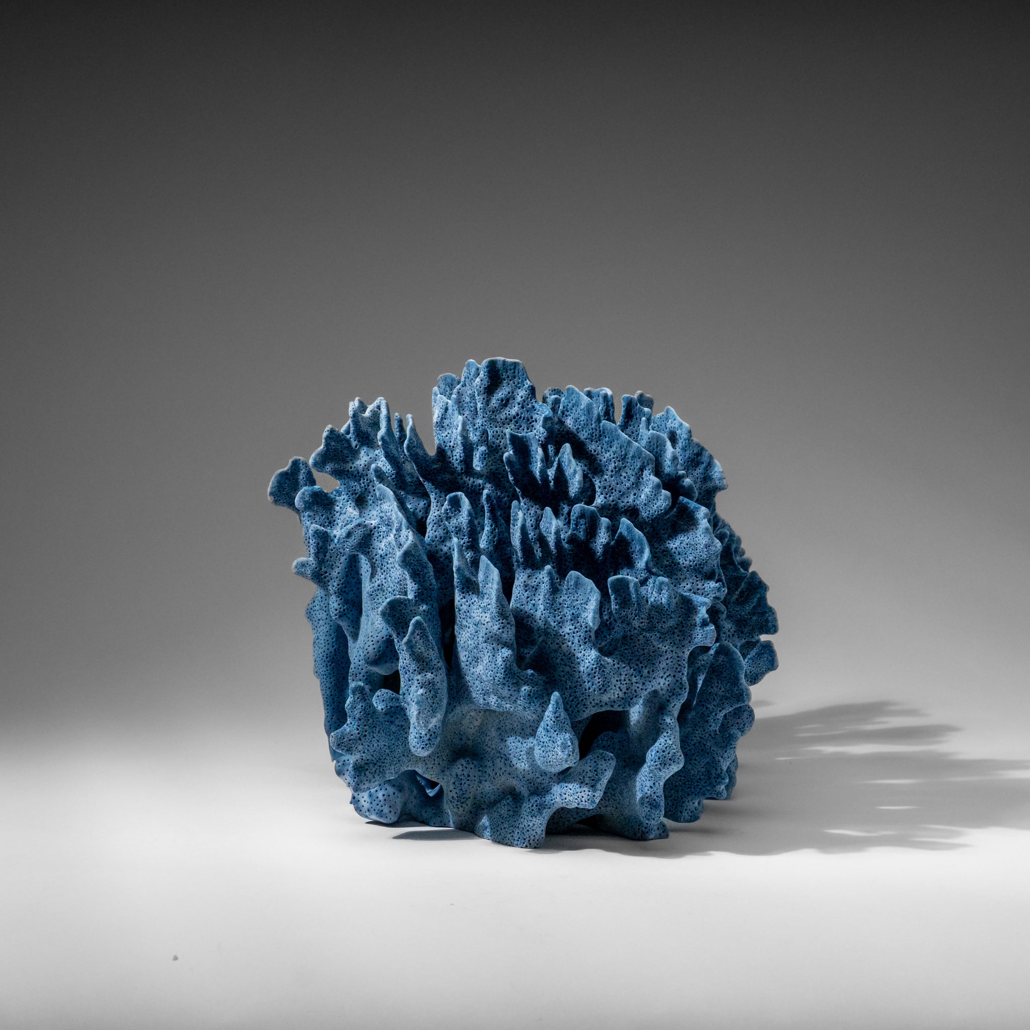 Genuine Blue Ridge Coral (8", 6 lbs)