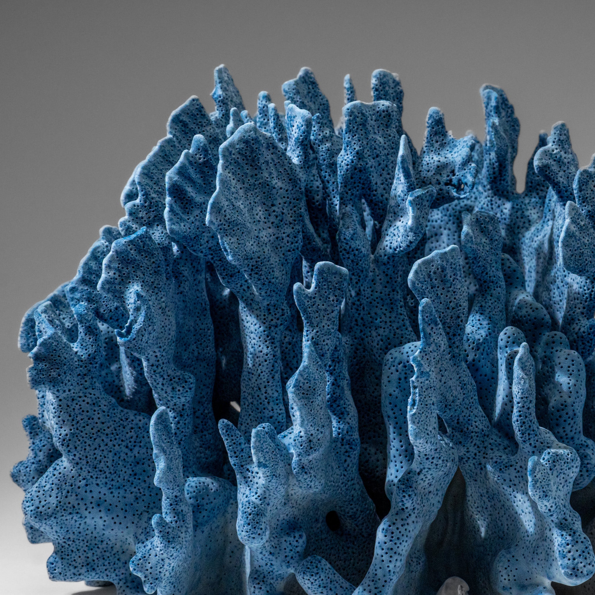 Genuine Blue Ridge Coral (8", 6 lbs)