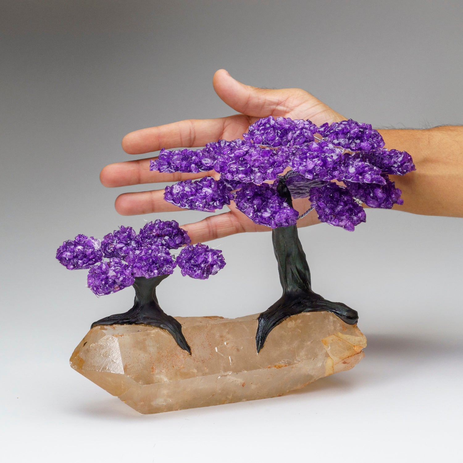 Custom -Two Genuine Amethyst Clustered Gemstone Trees on Clear Quartz Matrix (The Harmony Tree)