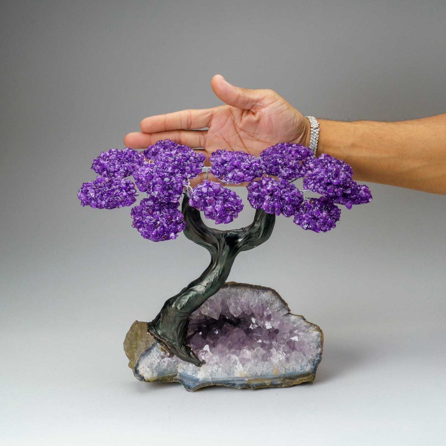 Custom - Genuine Amethyst Clustered Gemstone Tree on Amethyst Matrix (The Protection Tree)