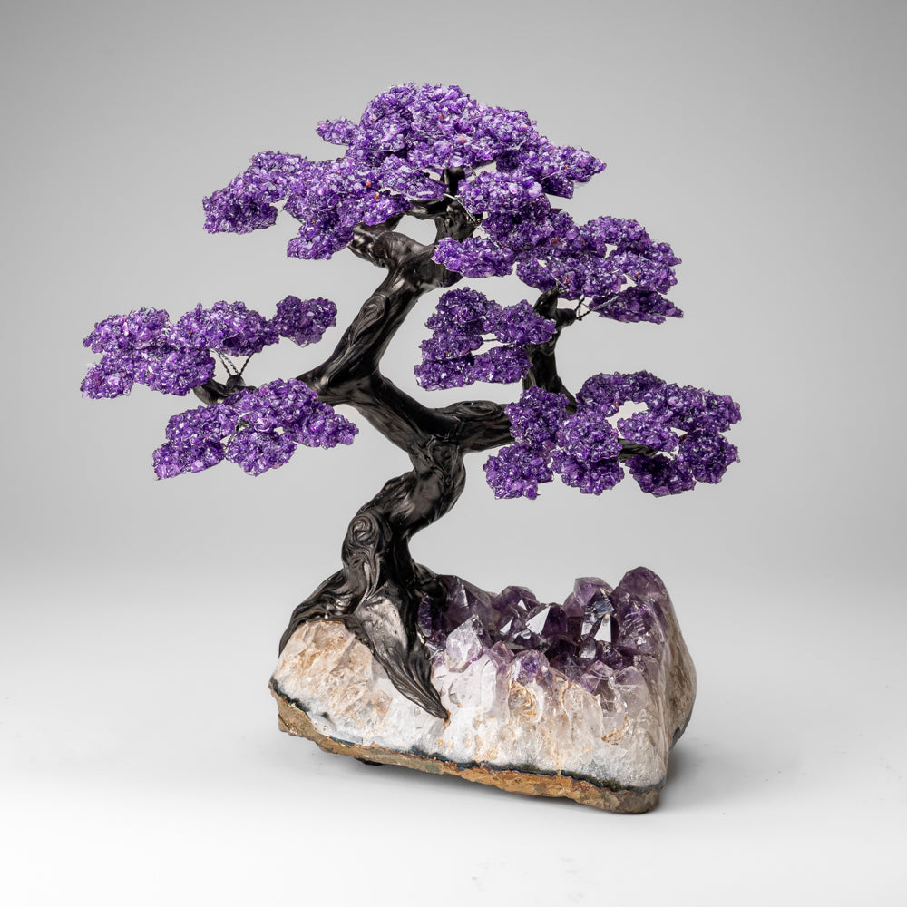 Custom Designed - Genuine Amethyst Clustered Gemstone Tree on Amethyst Matrix (The Protection Tree)